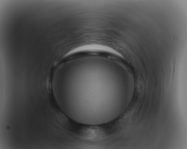 X0000089720420200706281534