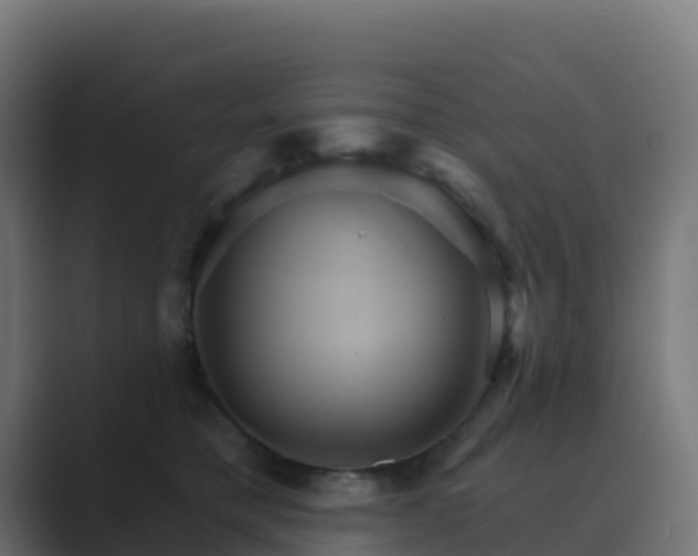 X0000089720421200706281534