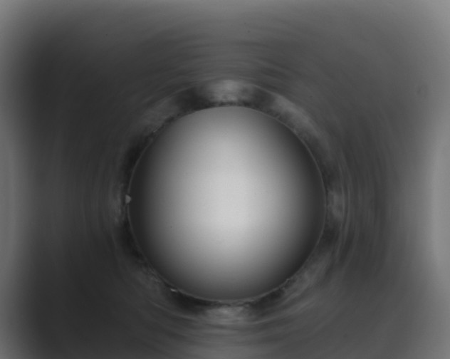 X0000089720422200706281534