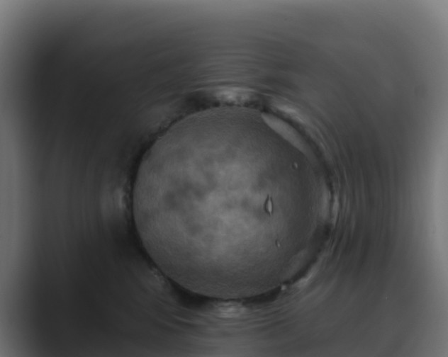 X0000089720424200706281534