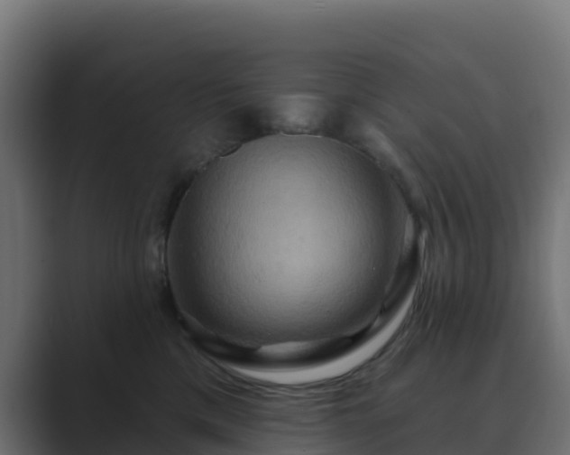 X0000089720425200706281534