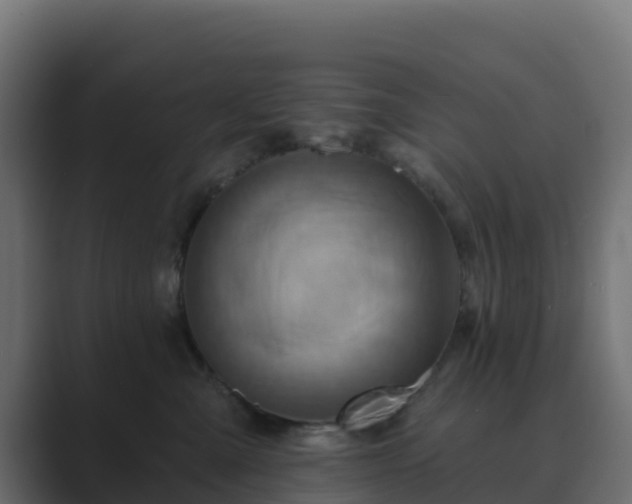 X0000089720427200706281534