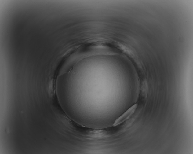 X0000089720428200706281534