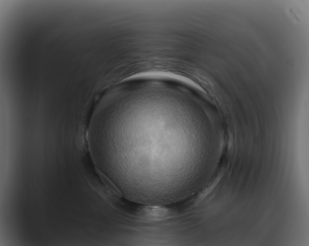 X0000089720429200706281534