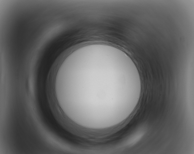 X0000089720431200706281534