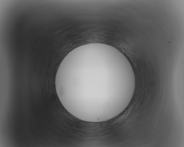 X0000089720432200706281534