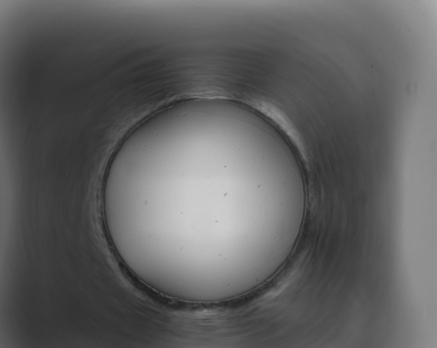 X0000089720433200706281534