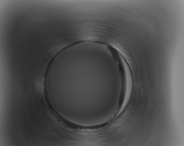 X0000089720434200706281534