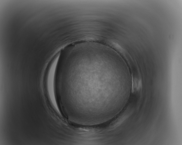 X0000089720435200706281534