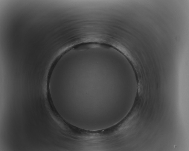 X0000089720438200706281534