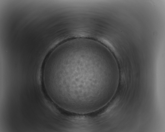 X0000089720439200706281534