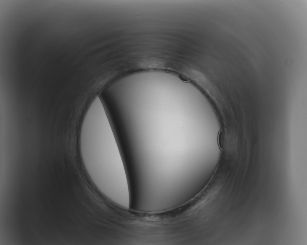 X0000089720441200706281534