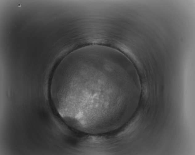 X0000089720442200706281534