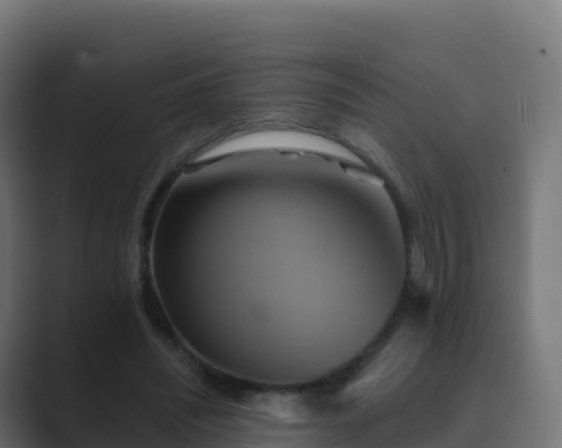 X0000089720444200706281534