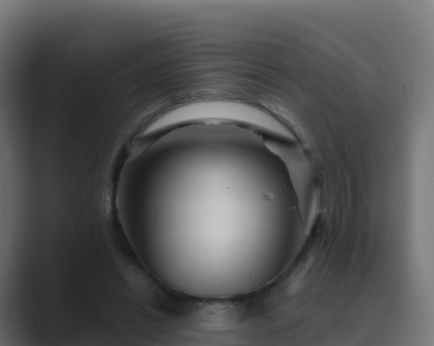 X0000089720446200706281534