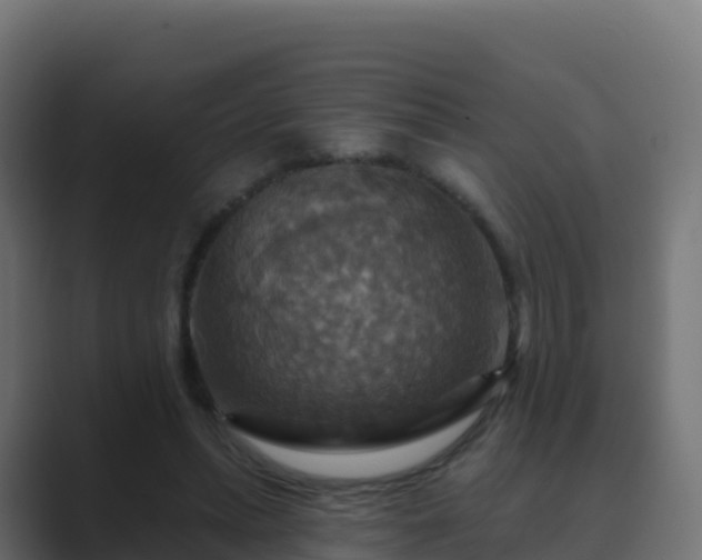 X0000089720447200706281534