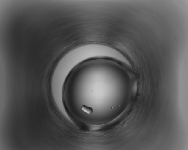 X0000089720448200706281534