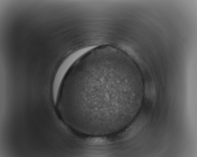 X0000089720449200706281534