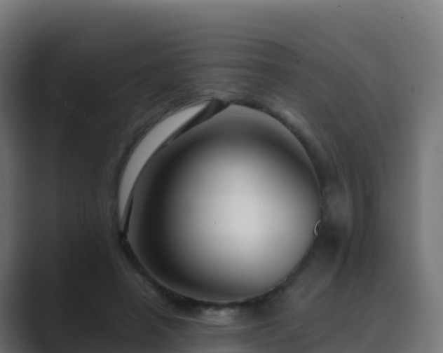 X0000089720450200706281534