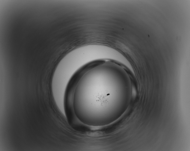 X0000089720452200706281534