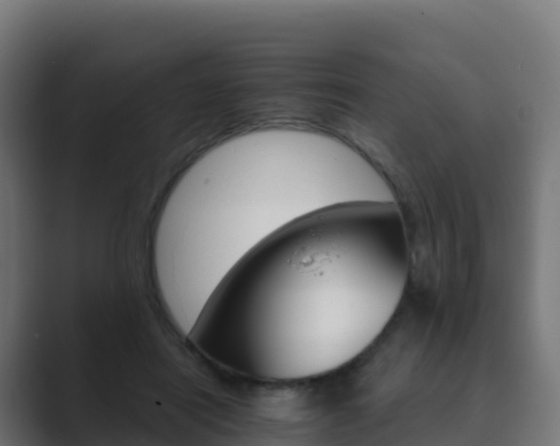 X0000089720454200706281534