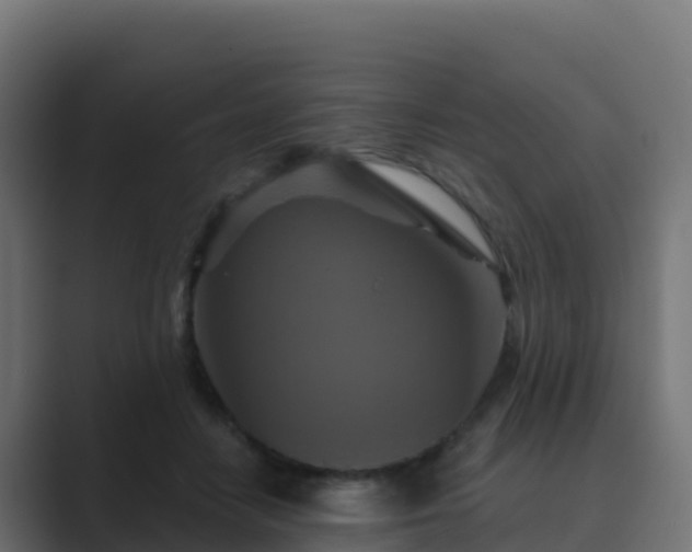 X0000089720458200706281534
