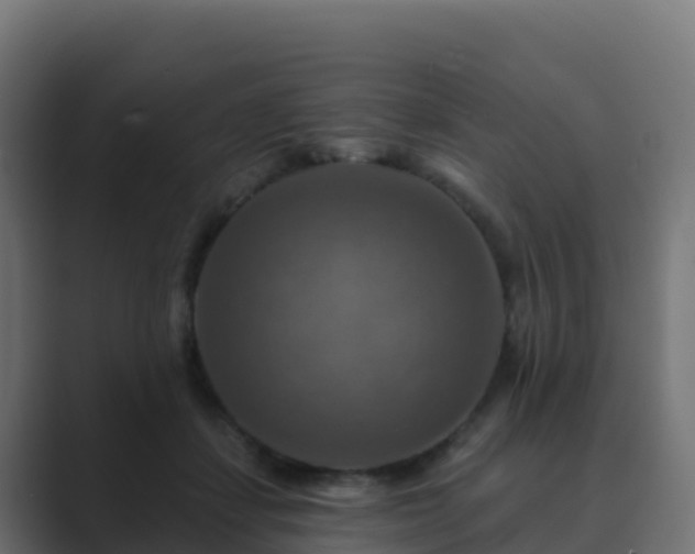 X0000089720459200706281534