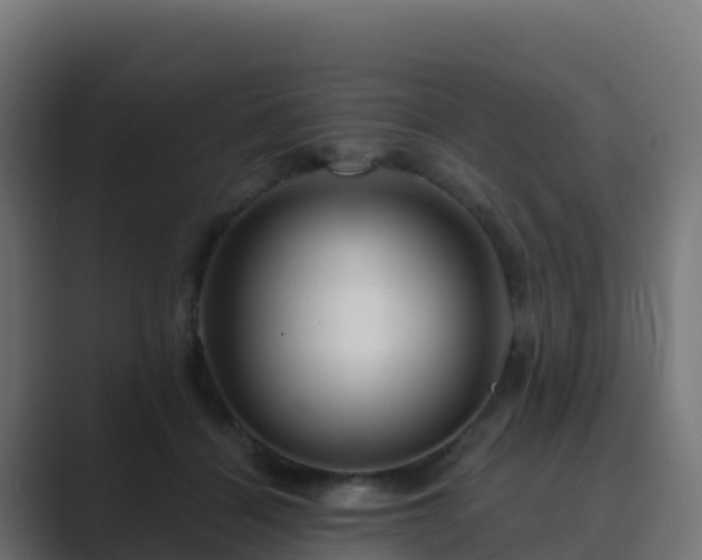 X0000089720460200706281534