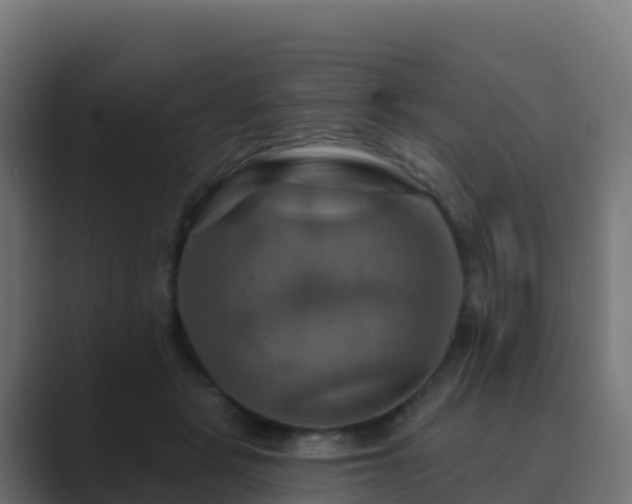 X0000089720461200706281534