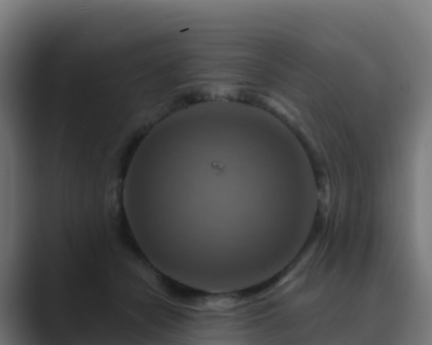 X0000089720462200706281534