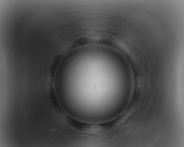 X0000089720463200706281534