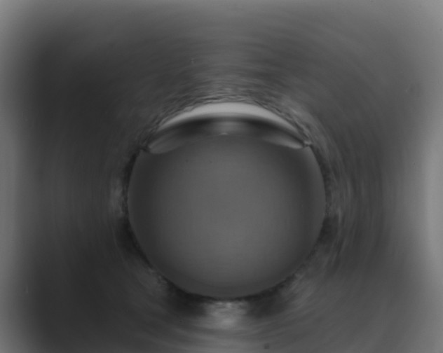 X0000089720465200706281534
