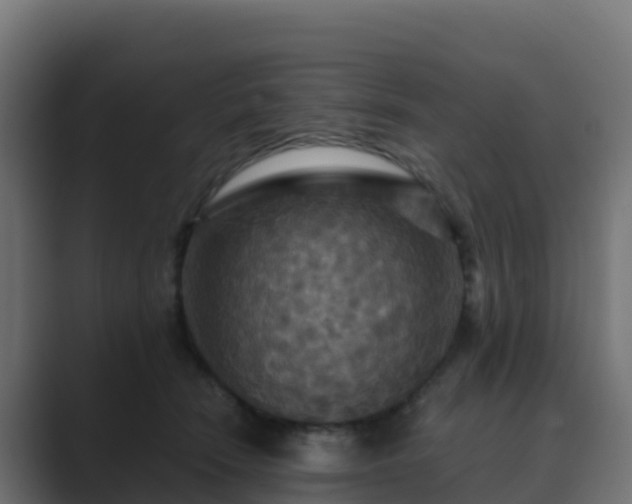 X0000089720466200706281534