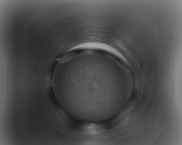 X0000089720467200706281534