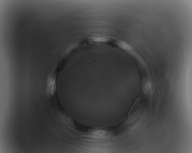 X0000089720471200706281534