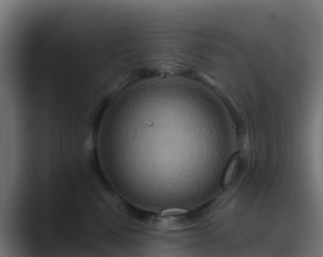 X0000089720472200706281534