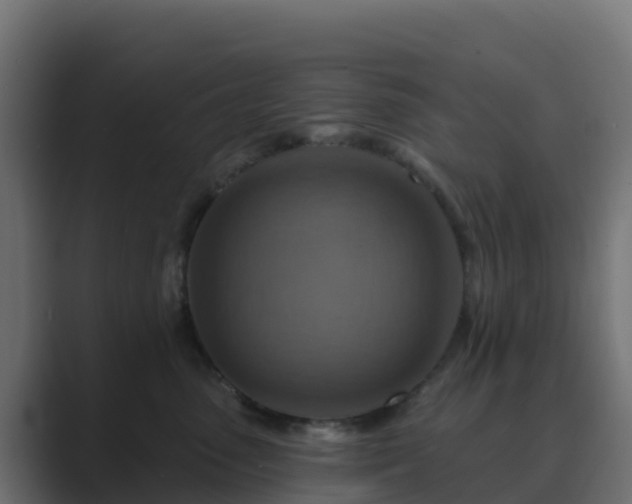 X0000089720475200706281534