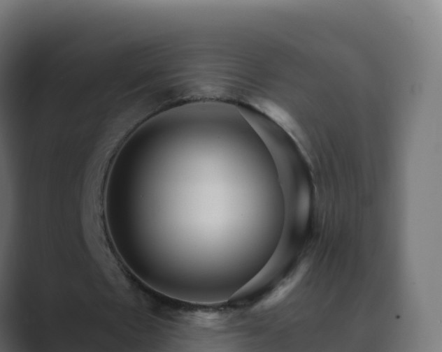 X0000089720481200706281533