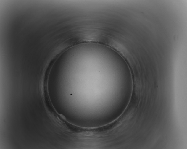 X0000089720482200706281533