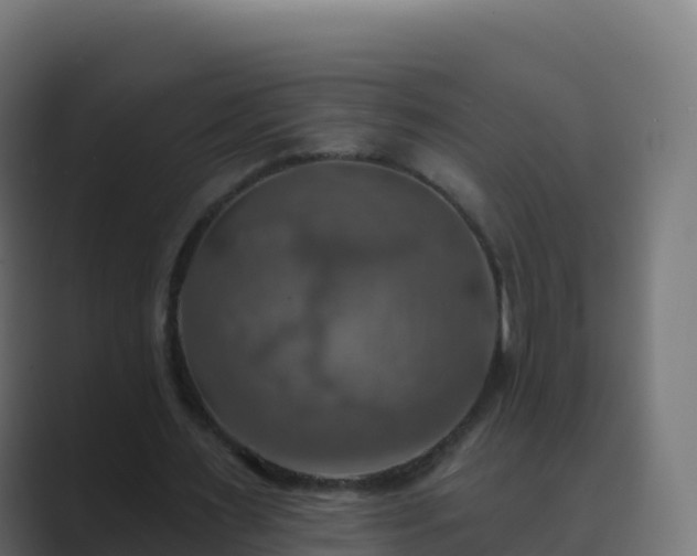 X0000089720483200706281533
