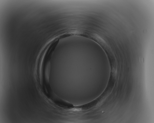 X0000089720484200706281533