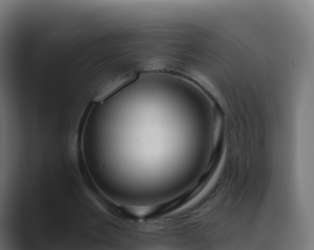 X0000089720485200706281533