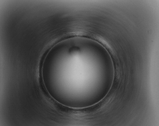 X0000089720486200706281533