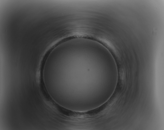 X0000089720488200706281533