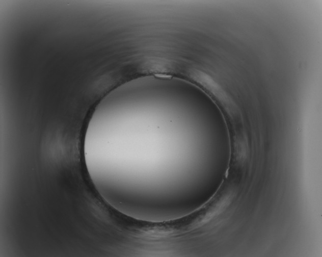 X0000089720489200706281533