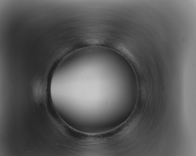 X0000089720490200706281533