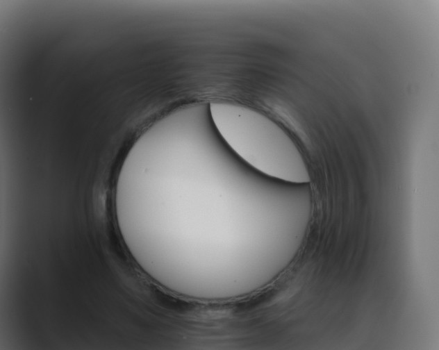 X0000089720491200706281533