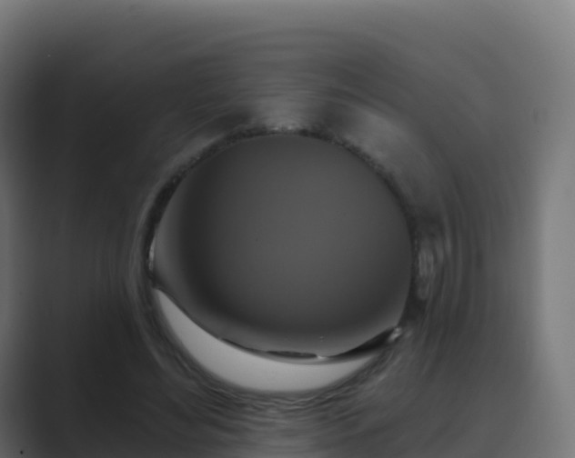 X0000089720492200706281533