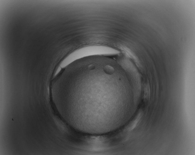 X0000089720493200706281533