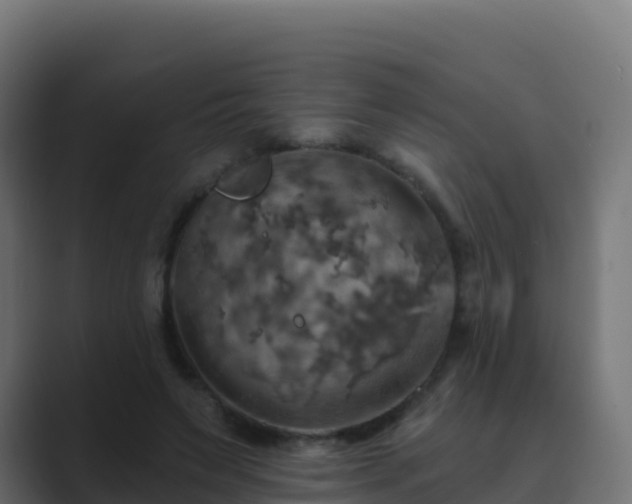 X0000089720495200706281533